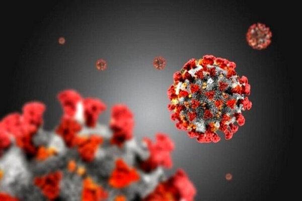 بررسی بیوانفورماتیک کرونا، مطالعه جهش و سرعت تغییرات ویروس آنالیز بیوانفورماتیک کرونا، مطالعه جهش و سرعت تغییرات ویروس