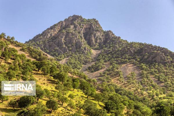 خبرنگاران 47 هزار هکتار از جنگل های زاگرس در چهارمحال و بختیاری خبرنگاران 47 هزار هکتار از جنگل های زاگرس در چهارمحال و بختیاری دچار خشکی شد