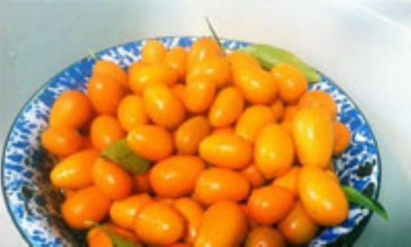خواص تغذیه ای و دارویی کامکوات خواص تغذیه ای و دارویی کامکوات