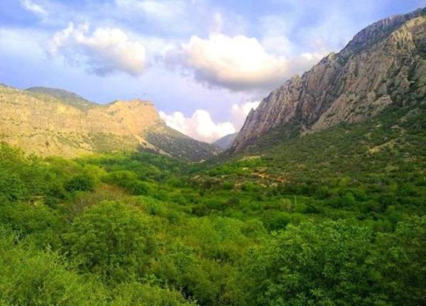آشنایی با دشت ارژن آشنایی با دشت ارژن